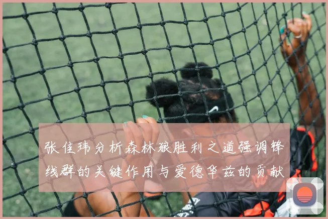 张佳玮分析森林狼胜利之道强调锋线群的关键作用与爱德华兹的贡献