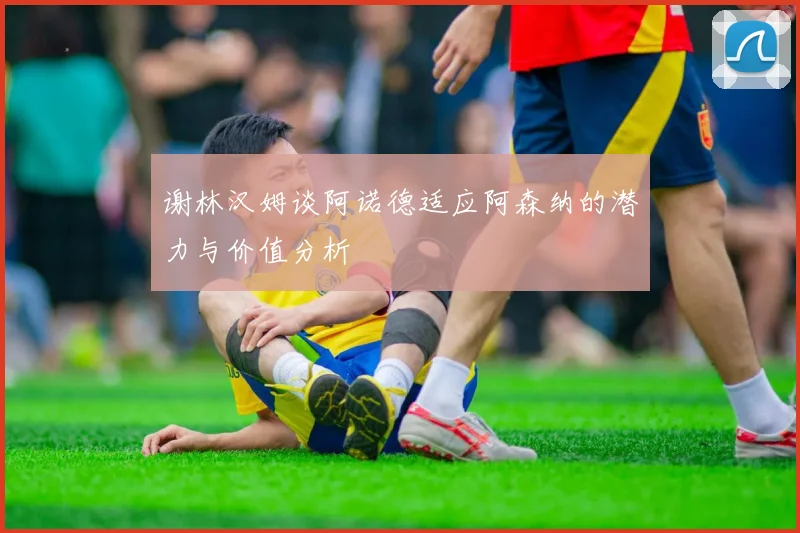 谢林汉姆谈阿诺德适应阿森纳的潜力与价值分析